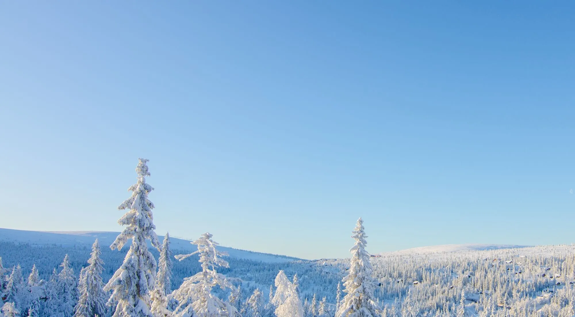 Bilder från Storstugan i fjällmiljö – bild 6